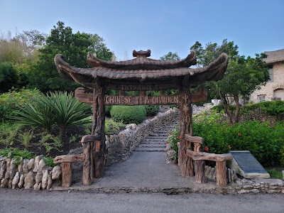 Things to do in San Antonio, TX