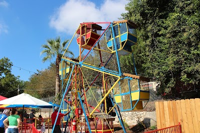 Things to do in San Antonio, TX