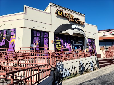 Things to do in Castle Hills, TX