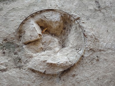 Things to do in Canyon Lake, TX