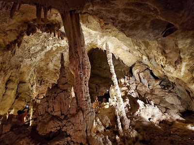 Things to do in Canyon Lake, TX