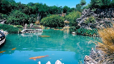 Things to do in Alamo Heights, TX