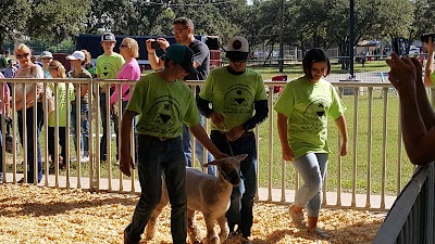 Things to do in Helotes, TX