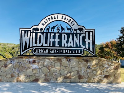 Things to do in Fair Oaks Ranch, TX