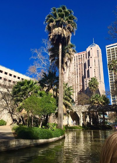 Things to do in Terrell Hills, TX