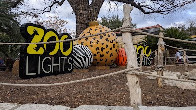 Things to do in Olmos Park, TX