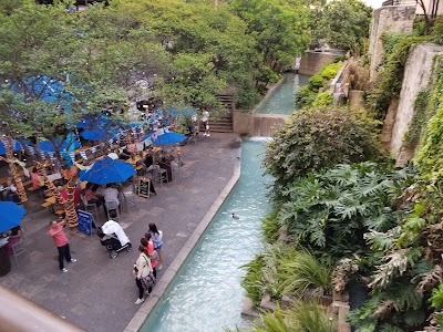 Things to do in Alamo Heights, TX