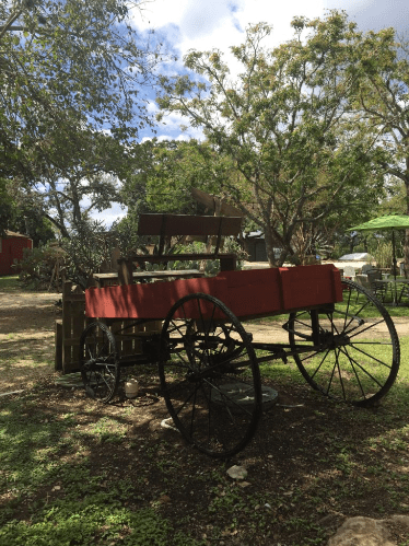 Things to do in Helotes, TX