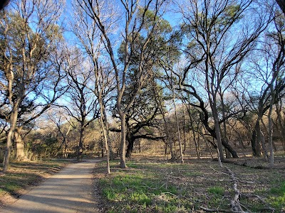 Things to do in Alamo Heights, TX