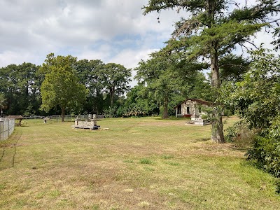 Things to do in Alamo Heights, TX