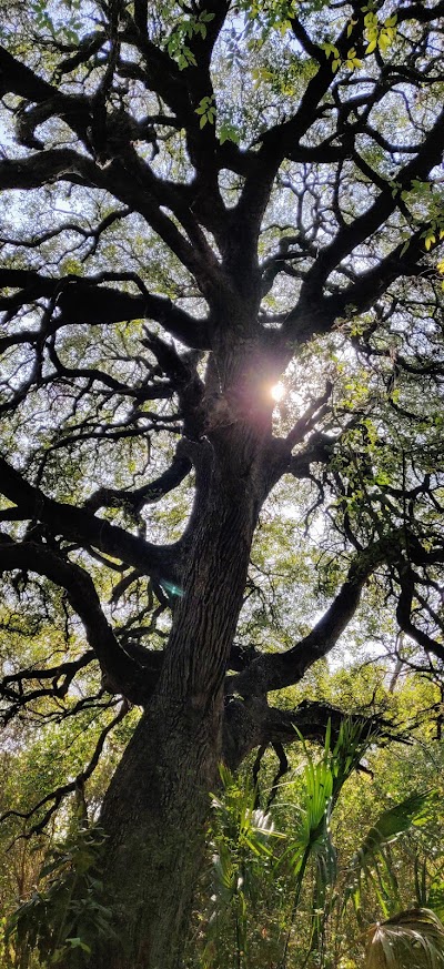 Things to do in Olmos Park, TX