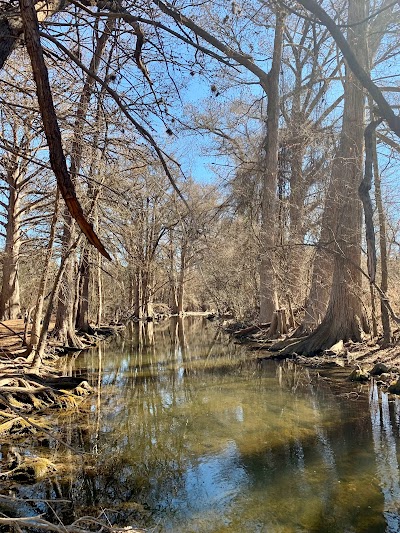 Things to do in Fair Oaks Ranch, TX